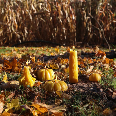 Gourd Beeswax Candle