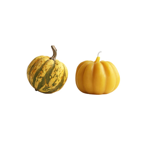 Carnival Squash Beeswax Candle
