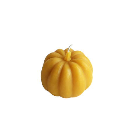 Carnival Squash Beeswax Candle