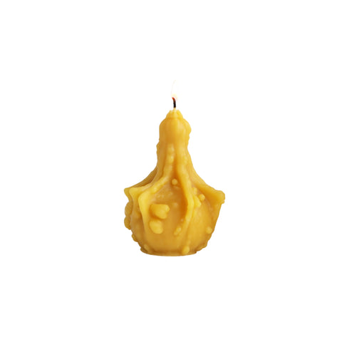 Gourd Beeswax Candle