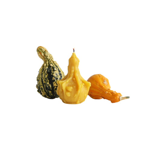 Gourd Beeswax Candle