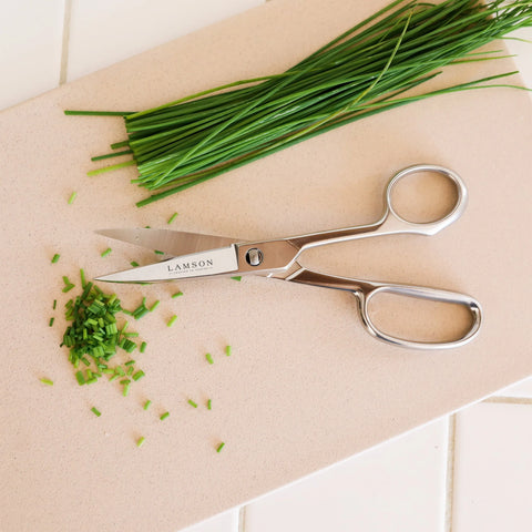 Stainless Steel Kitchen Shears