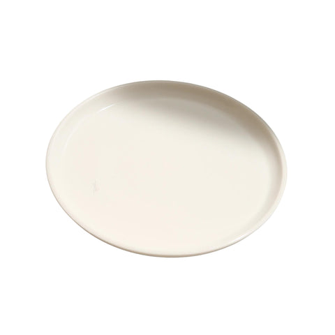 Stoneware Dinner Plate