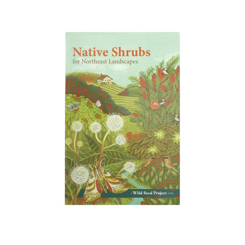 Native Shrubs for Northeast Landscapes